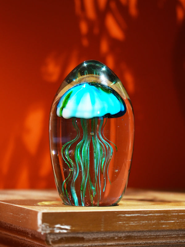 Pacific Coast Jellyfish Home Decor