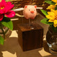 Artisan Wooden Flying Piggy Automaton