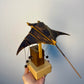 Artisan Wooden Manta Ray Automaton